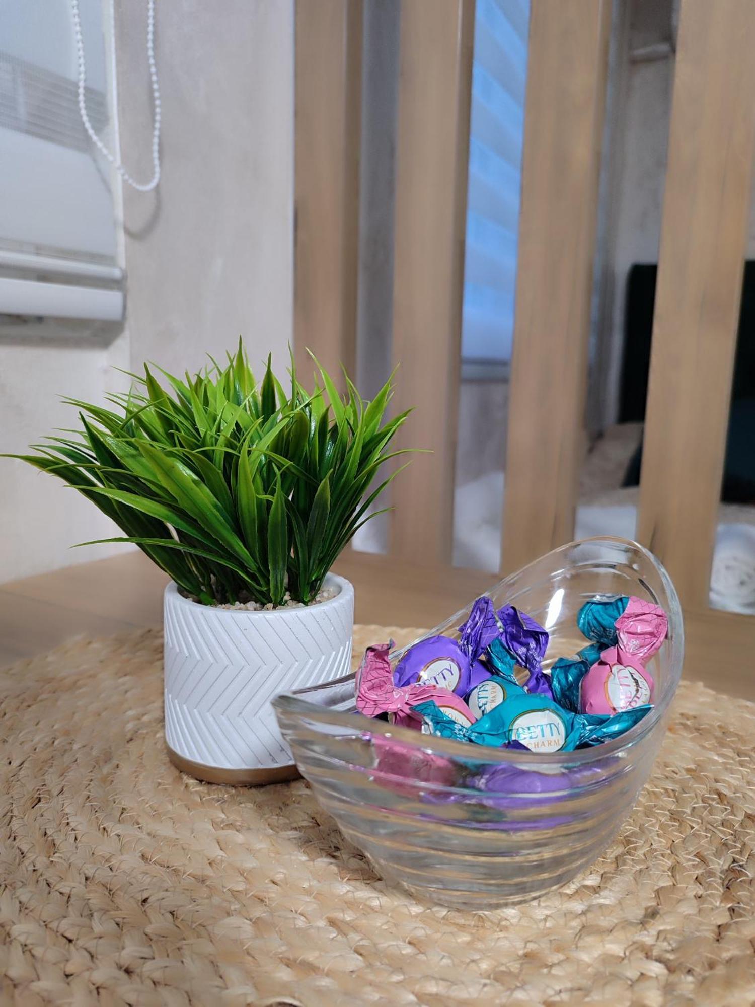 Studio Apartman Free Parking Rubikon Bělehrad Pokoj fotografie